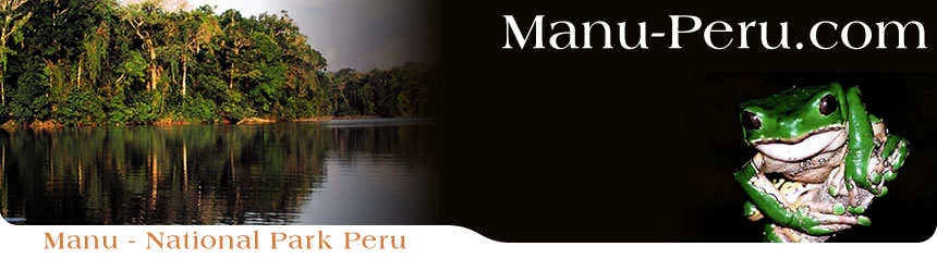 Manu National Park Peru rainforest